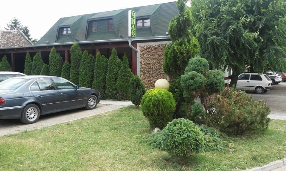 Guesthouse "Kod Cileta" Kovin Екстериор снимка